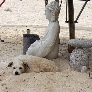 Meet your Posher, Tundi